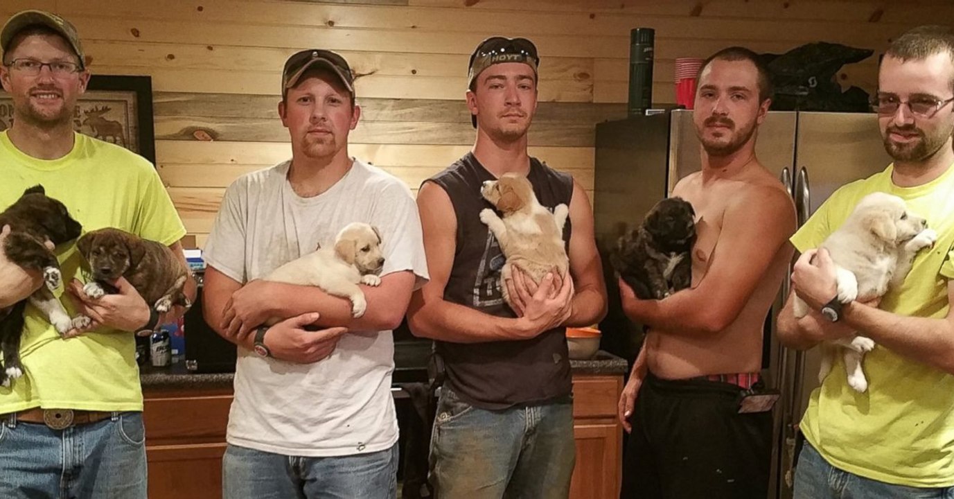 Beim Junggesellenabschied adoptieren sie jeder einen Welpen!