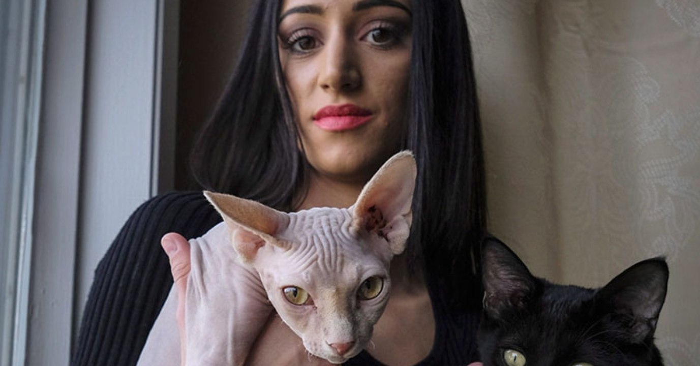 Sie kauft für 650 Euro eine Sphynx-Katze und wird Opfer eines Betrugs