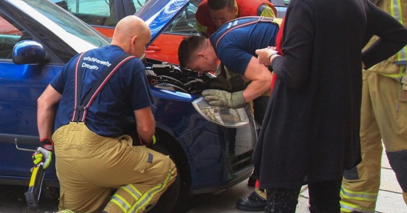 Unglaubliche Rettungsaktion! Was diese Männer in der Autofeder finden, lässt niemand kalt!