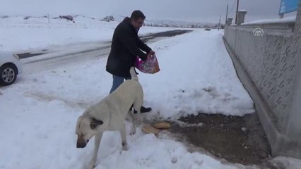 Karapınar Gençlik Merkezi Müdürlüğü faaliyetlerini sürdürüyor