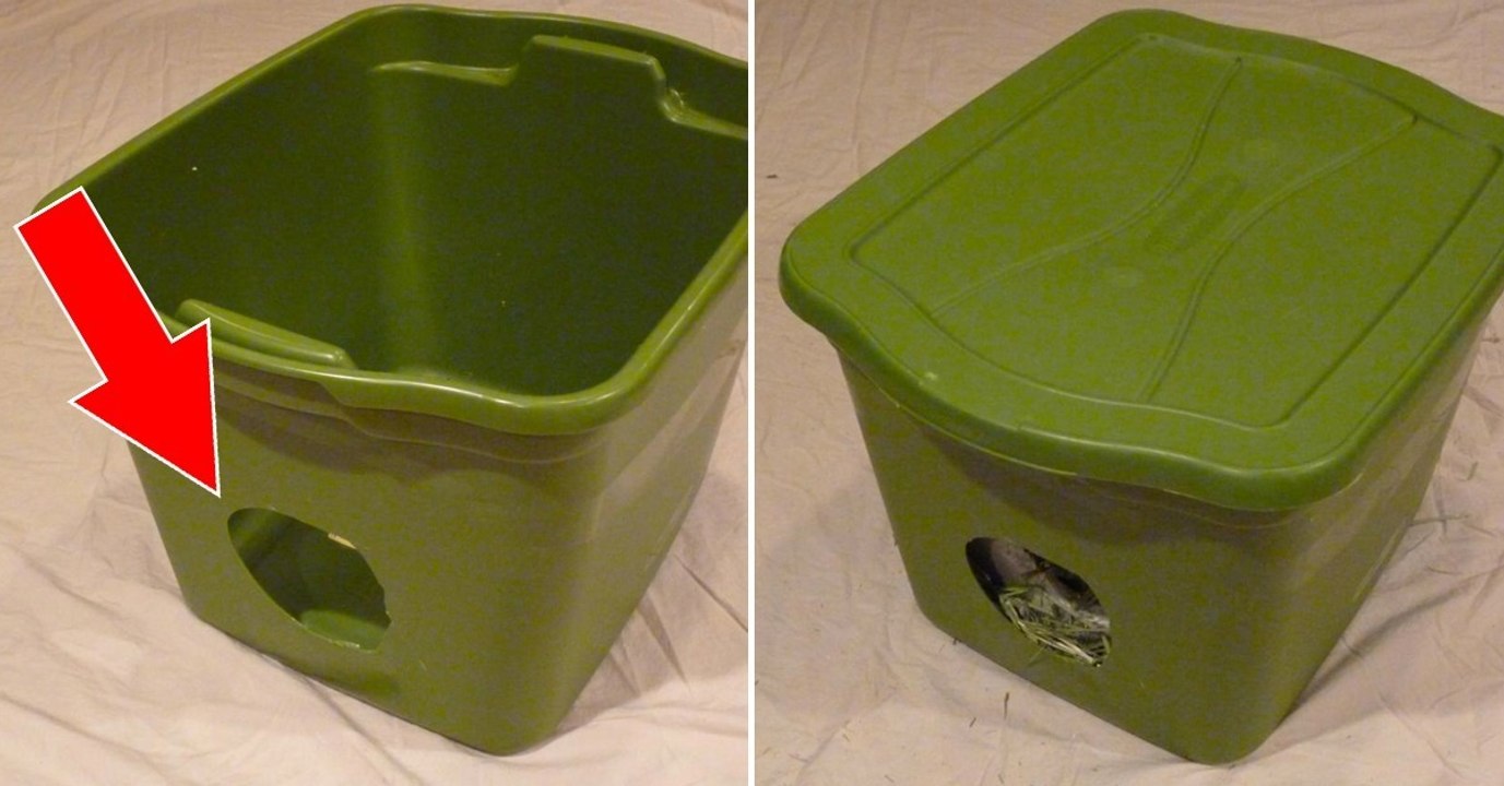 Ein kleiner Schutzort für das Kätzchen - So kann's gehen!