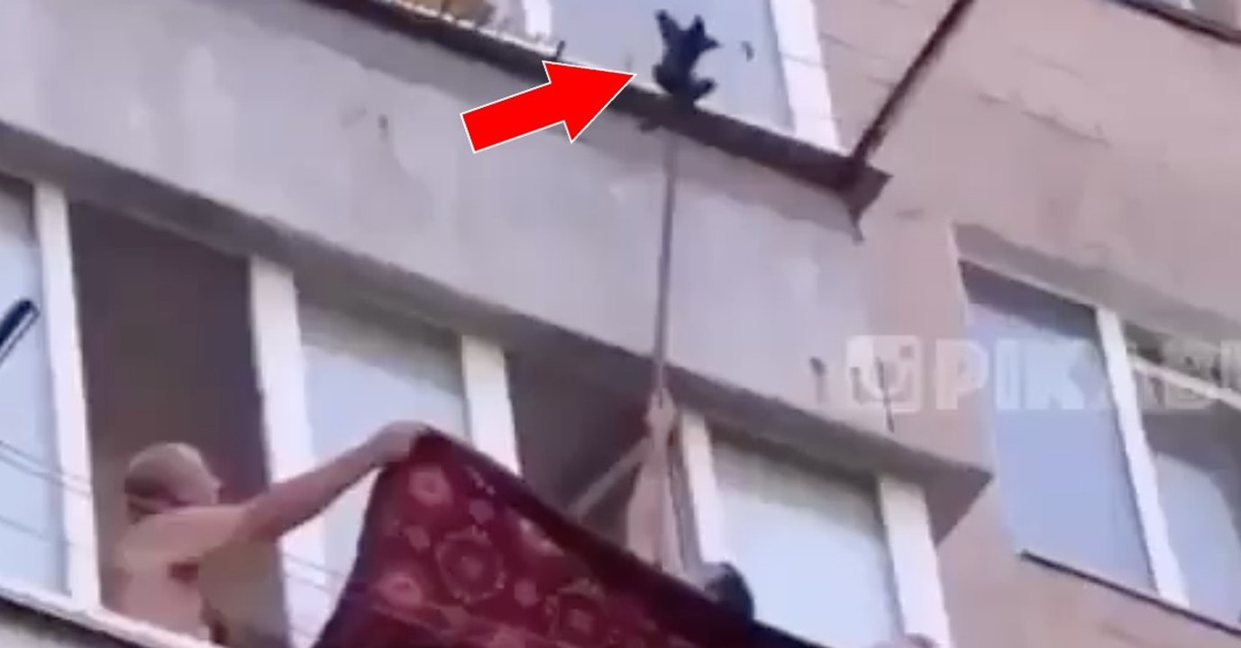 Männer retten Kätzchen, das an einer Wäscheleine hängt!