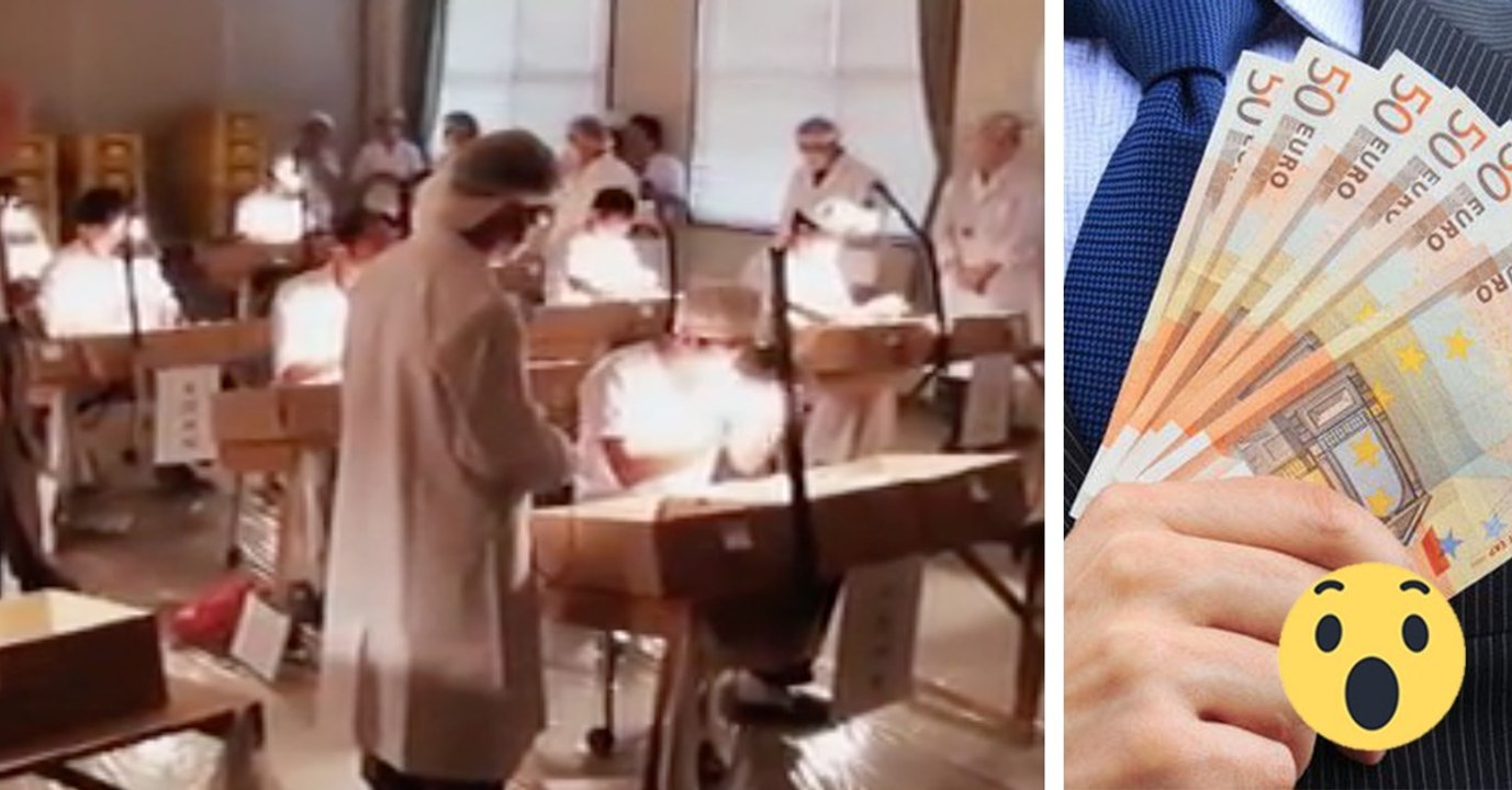 Geflügelgeschlechtsbestimmung: So läuft die tägliche Arbeit mit den Küken