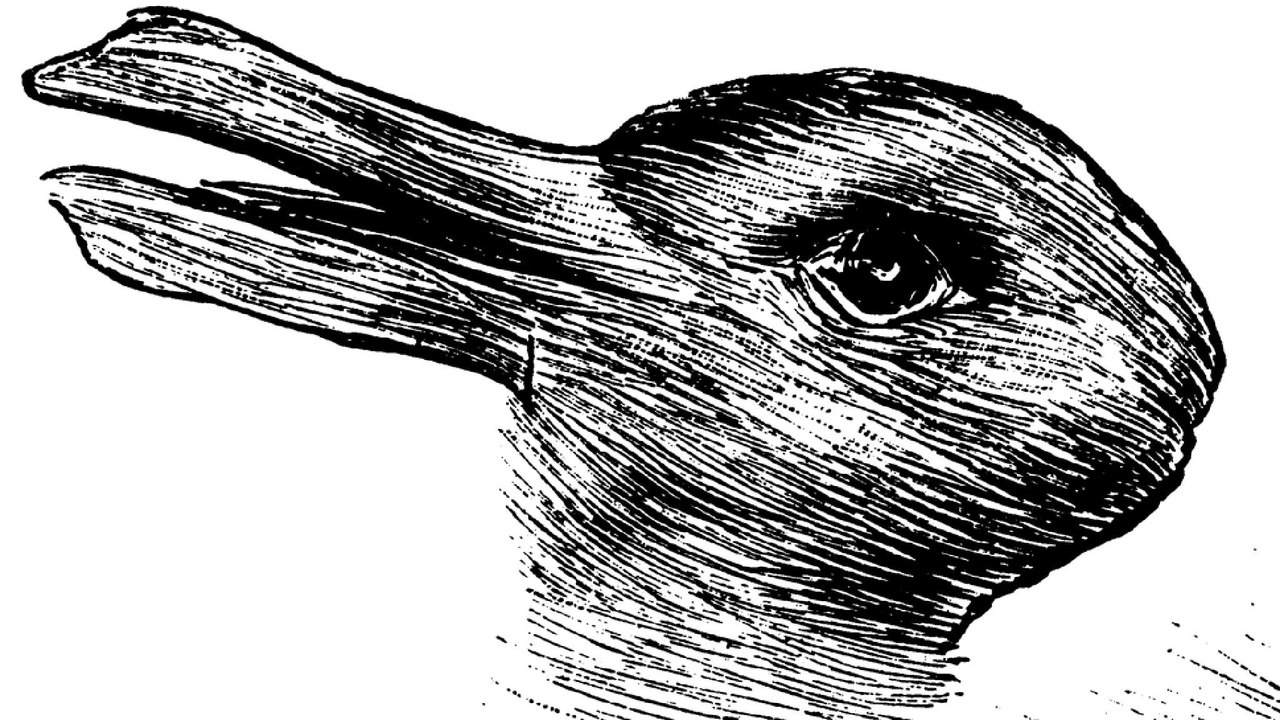 Hase oder ente? der persönlichkeitstest