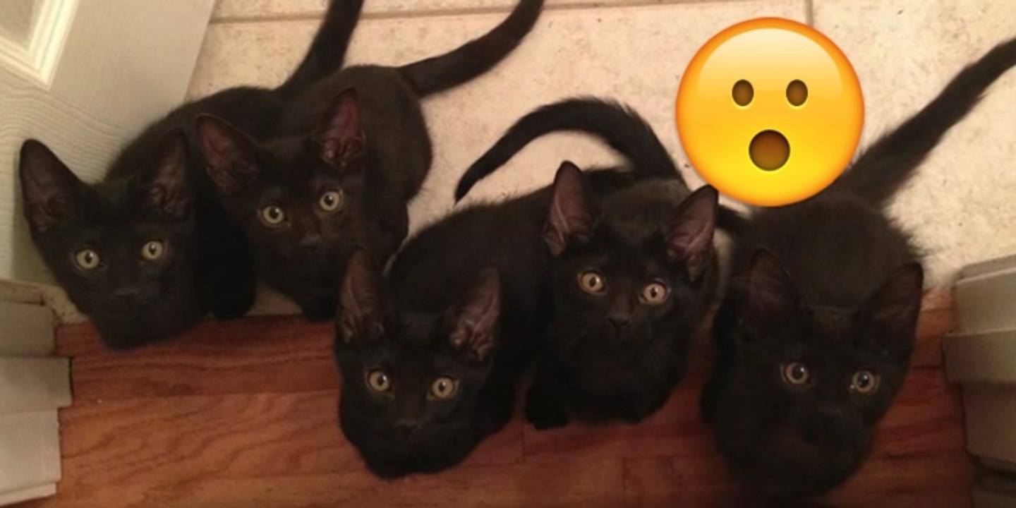 Sie machte die Haustür auf und fand dort die größte Überraschung ihres Lebens! Doch dann,...