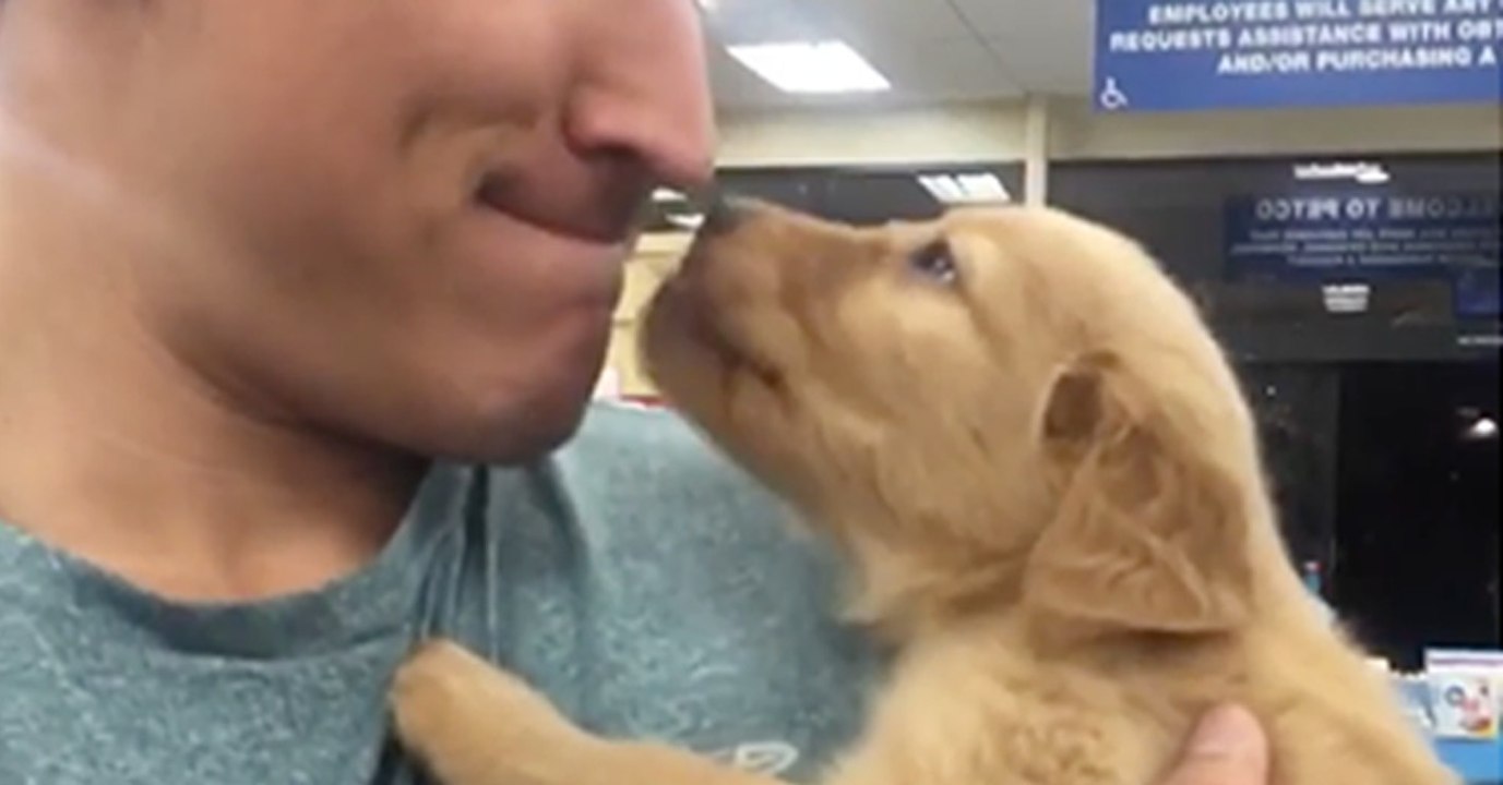 Was dieser Welpe gleich mit seinem Herrchen macht, lässt euch das Herz aufgehen!