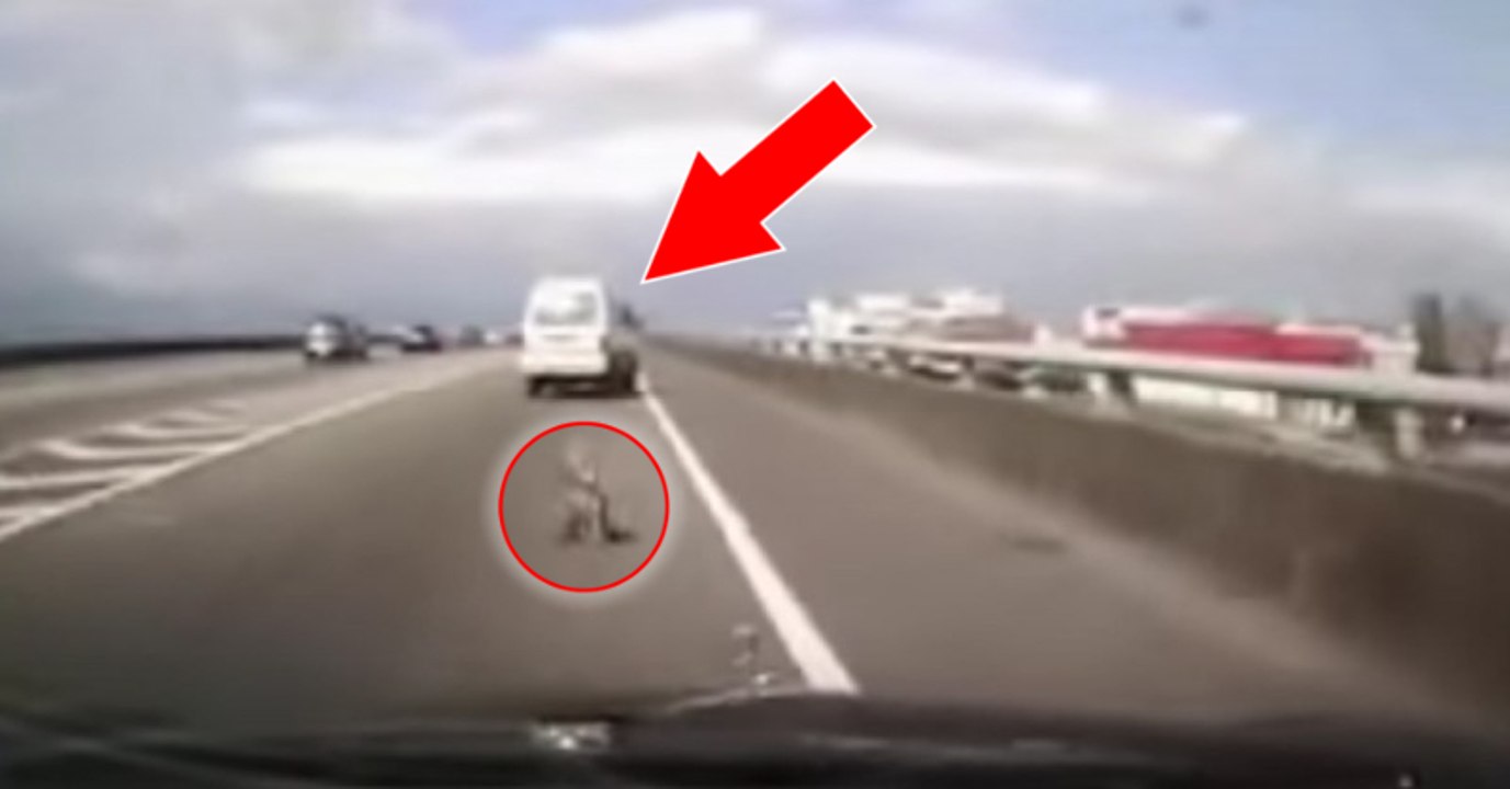 Die einen schmeißen im Auto Müll zum Fenster raus, aber was dieser Mann rausschmeißt, ist unmöglich!