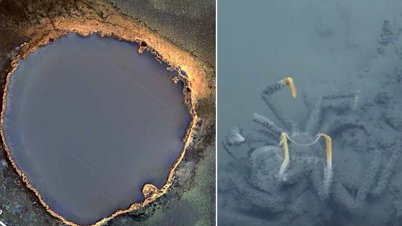 Golf von Mexiko: Wissenschaftler entdecken einen todbringenden Salzsee auf dem Meeresgrund