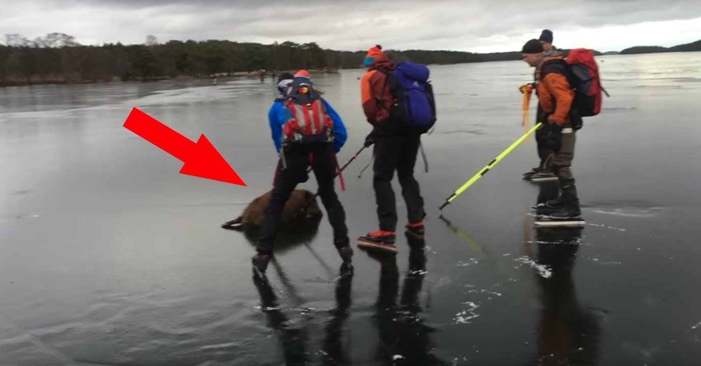 Sie gehen Eislaufen, was sie auf dem zugefrorenen See entdecken, ist unglaublich! Doch dann...