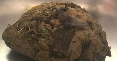 Ein Mann findet einen Igel in einem Lehmklumpen