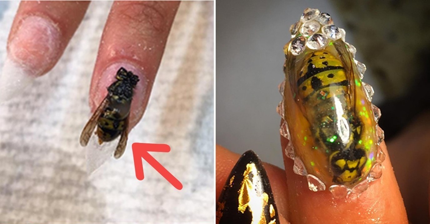 Maniküre: Nicole Casti verwendet Insekten für ihre Nagelkunst