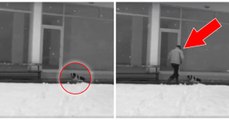 Von einer Überwachungskamera gefilmt: In der Türkei gab ein Mann seine Jacke einem frierenden Hund im Schnee!