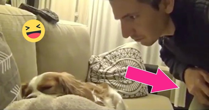Sein Hund schnarcht unglaublich laut. Was er gleich macht, ist einfach nur witzig!