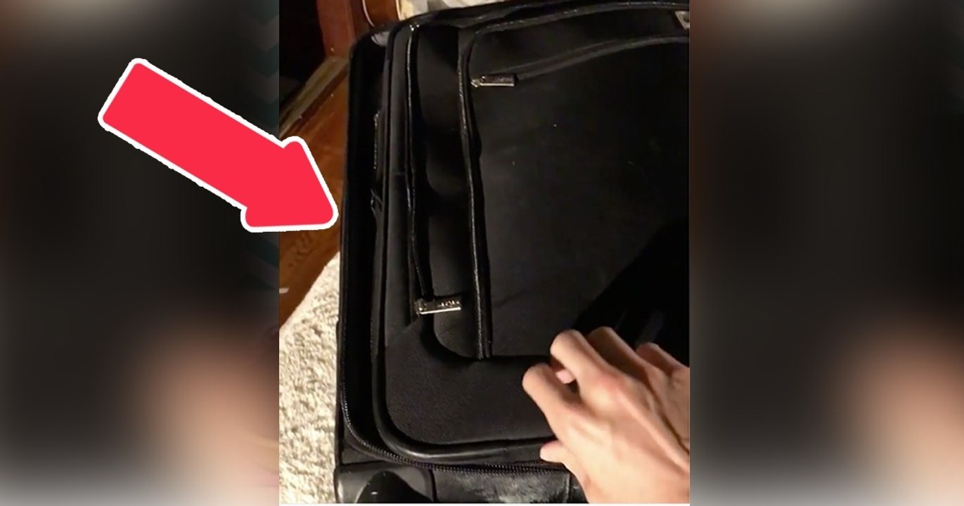 Katze versteckt sich in Koffer