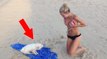 Ihr Hund möchte am Strand spielen, doch seine Idee bringt Frauchen in Bredouille! Was er macht, ist einfach witzig!