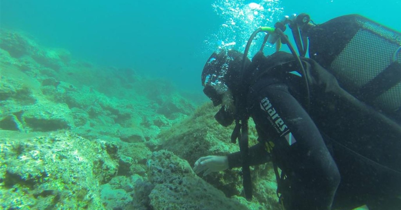 Taucher erkunden Meeresgrund und entdecken etwas Grausames