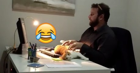 Herrchen möchte arbeiten, doch Bob hat da eine bessere Idee! Einfach schnuckig!