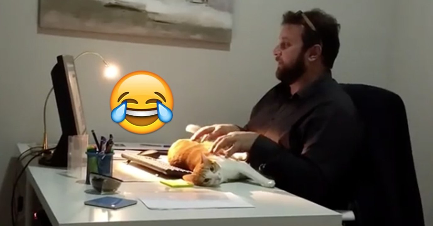 Herrchen möchte arbeiten, doch Bob hat da eine bessere Idee! Einfach schnuckig!