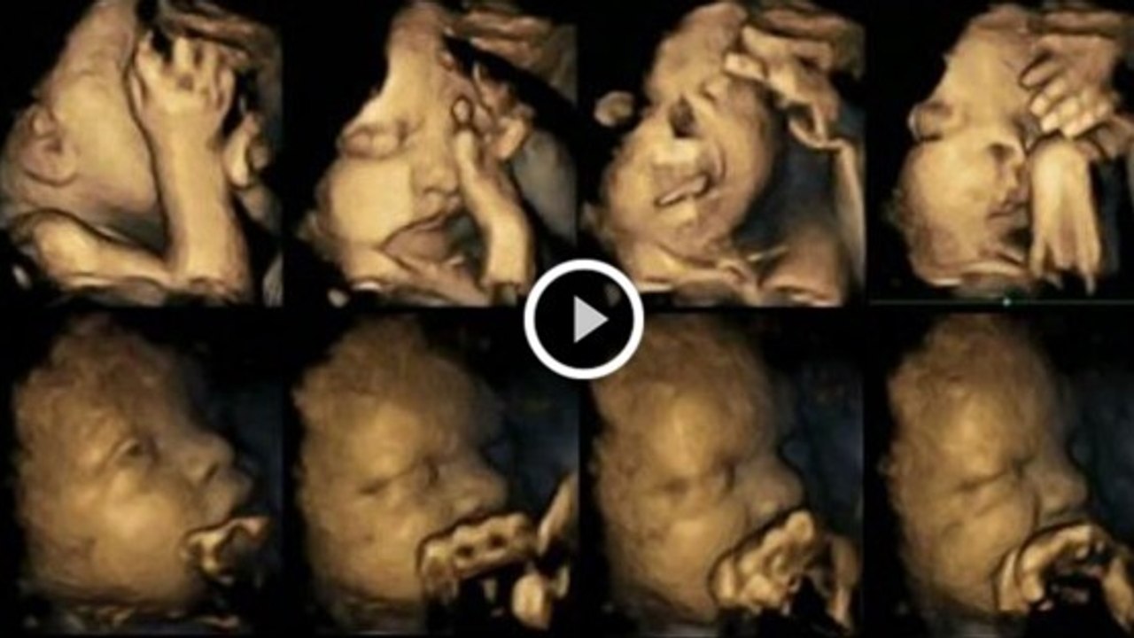 Die werdende Mutter raucht. Die Reaktion des Fötus ist wirklich erschütternd!