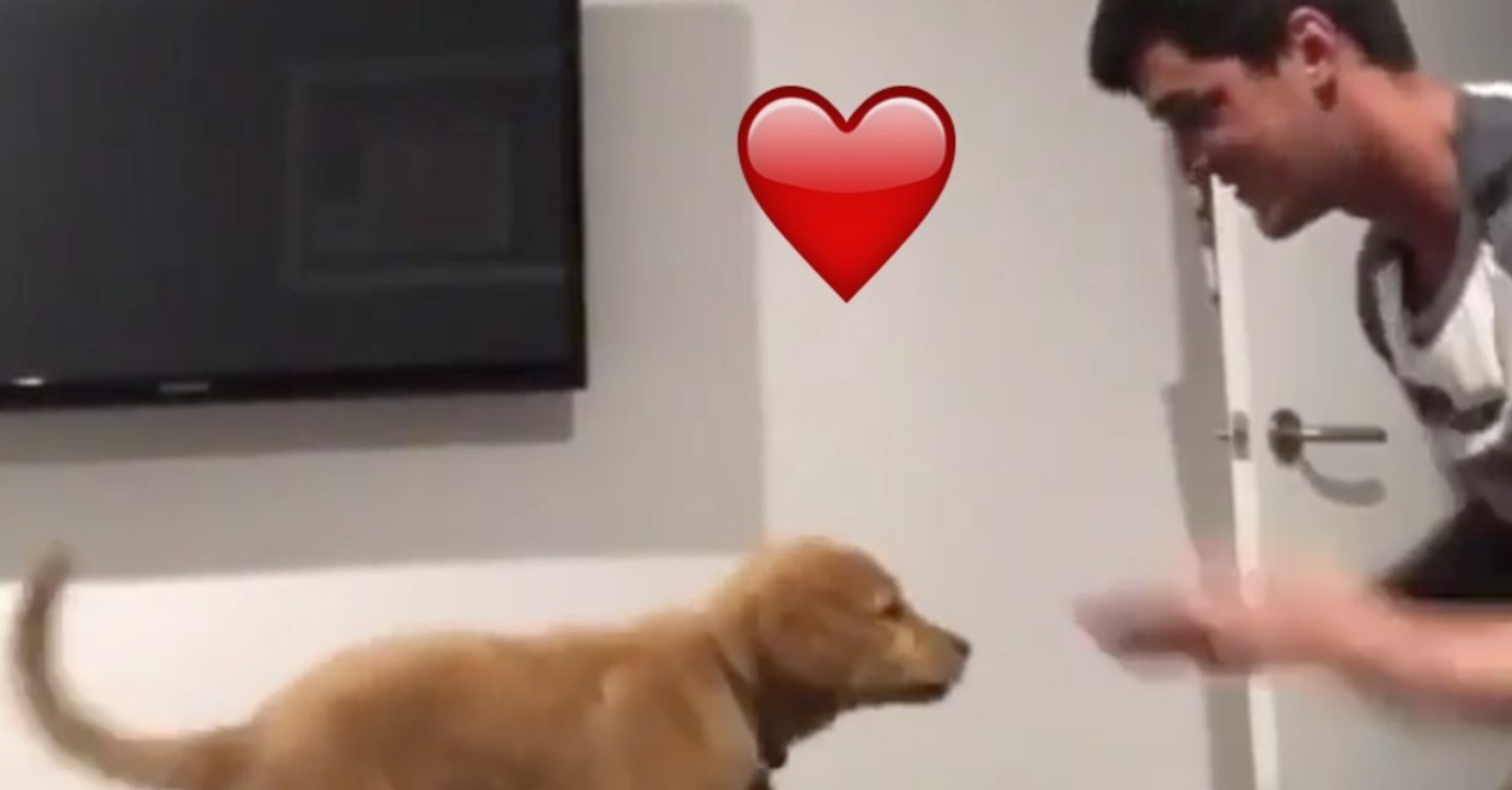 Dieser Mann hat ein ganz besonderes Ritual mit seinem Welpen. Sie werden euch beeindrucken!