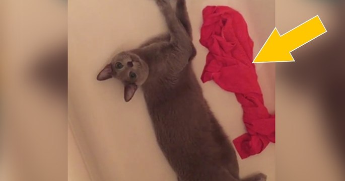Sie schmeißt ihre Sportklamotten in die Wanne. Was ihr Kater damit macht, damit hätte sie nie gerechnet!