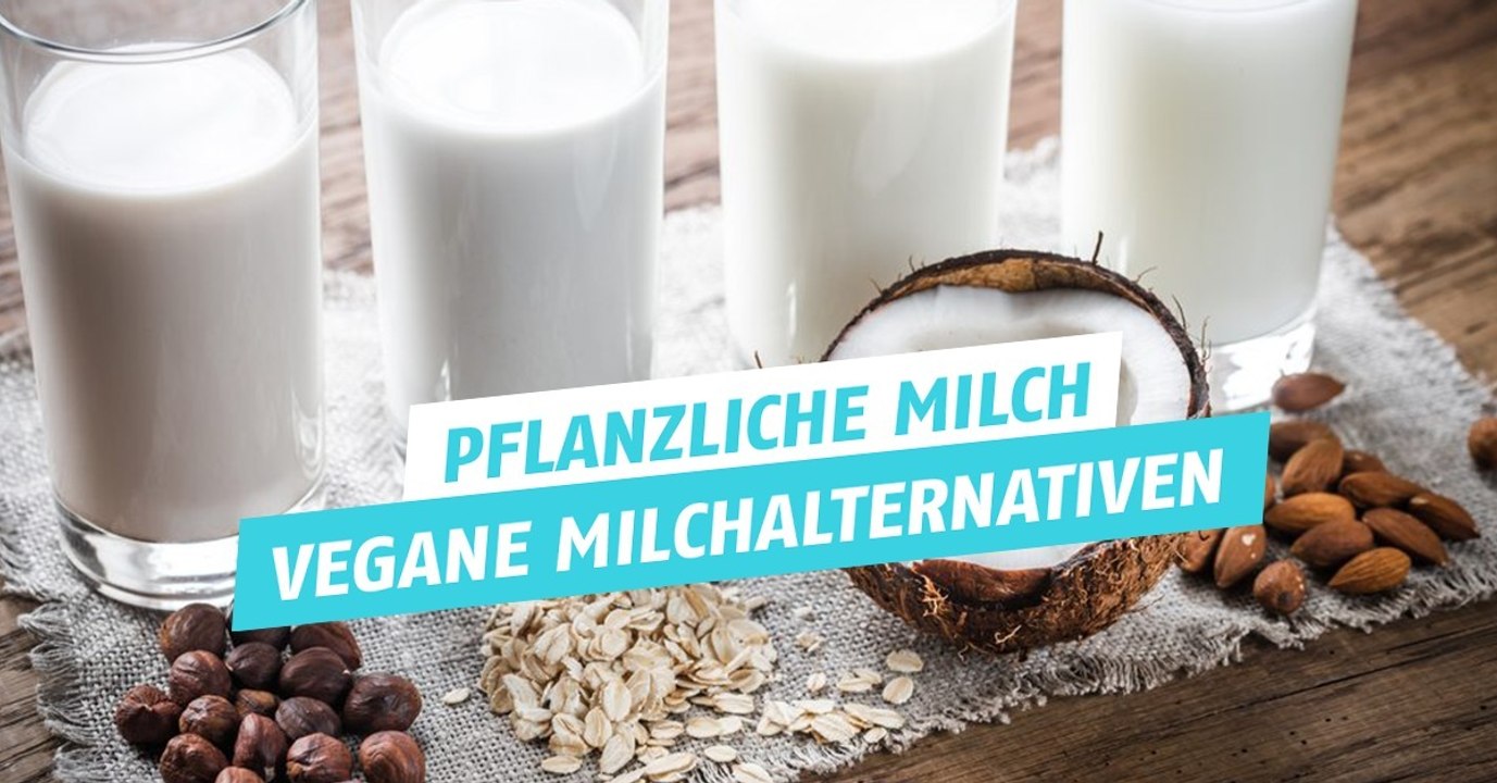 Pflanzliche Milch: Sorten, Eigenschaften, Geschmack der besten Milch-Alternativen