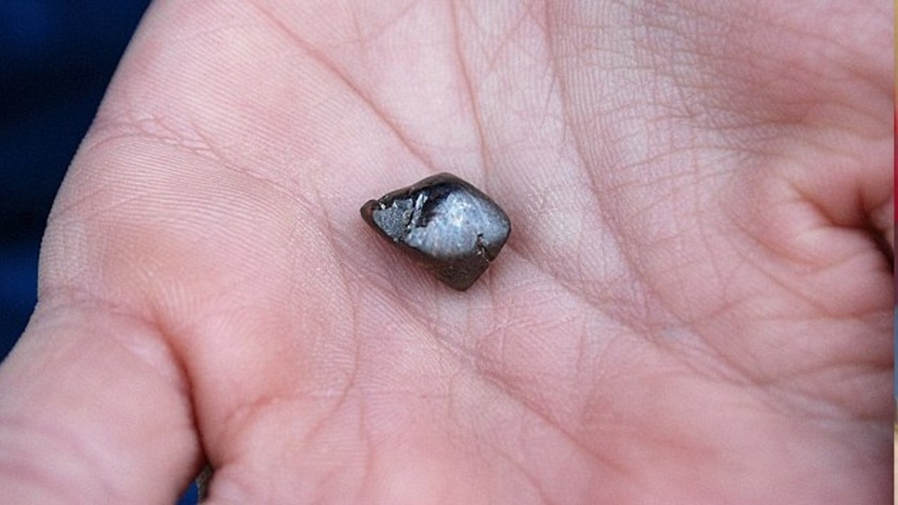 Er findet diesen glänzenden Stein im Park. Doch als er ihn genauer untersucht, entdeckt er....