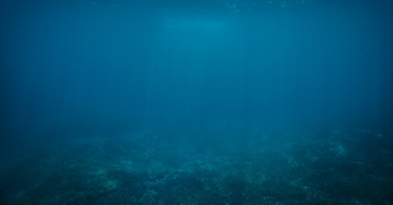 Beunruhigender fund im marianengraben alarmiert wissenschaftler
