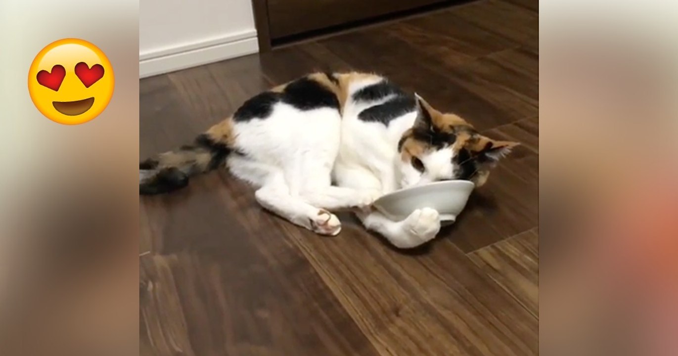 Diese Katze hat eine Art zu essen....Das hast du noch nicht gesehen!