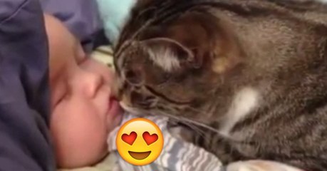 Das Baby schnarcht ganz süß und Mimi möchte es beruhigen. Einfach wunderbar, was sie macht!