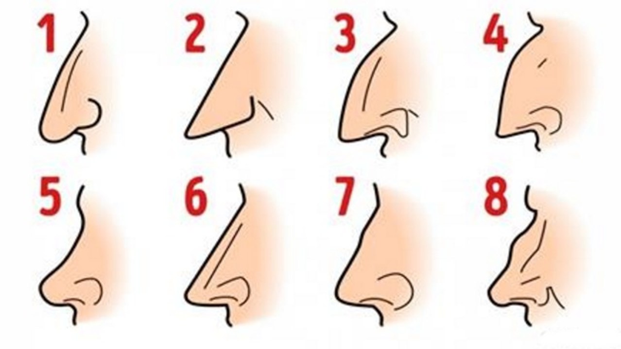 Das sagt die form deiner nase über deine persönlichkeit