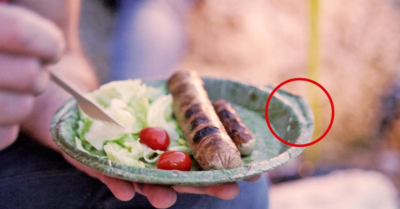 Biologisch abbaubare Teller aus Laubblättern für das nächste Picknick im Freien