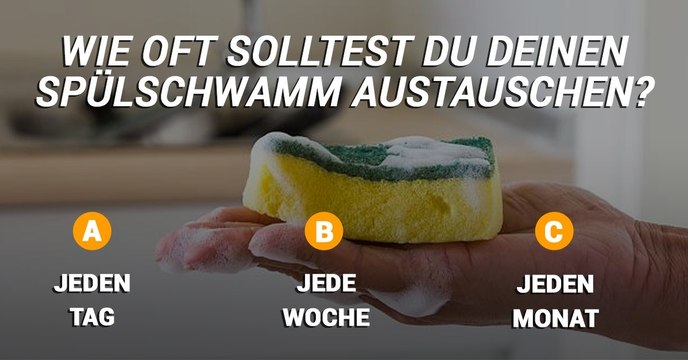Neue Studie zeigt: Im Spülschwamm befinden sich mehr Bakterien als in Fäkalien!