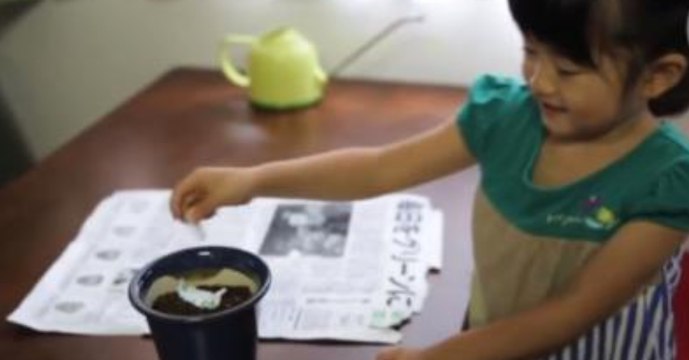 Sie legt die Zeitung in einen Blumentopf und kann nicht fassen, was daraus entsteht