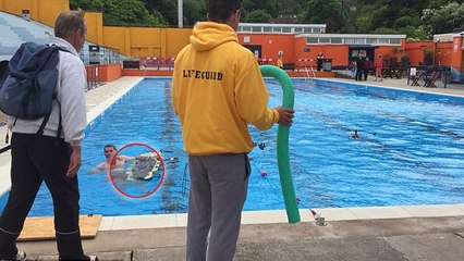 Entenfamilie verirrt sich auf dem Weg zum See in Schwimmbad