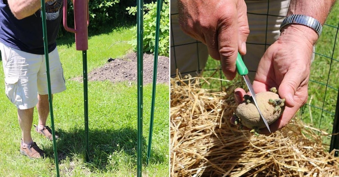 Kartoffelturm selbst gebaut: So gelingt es!