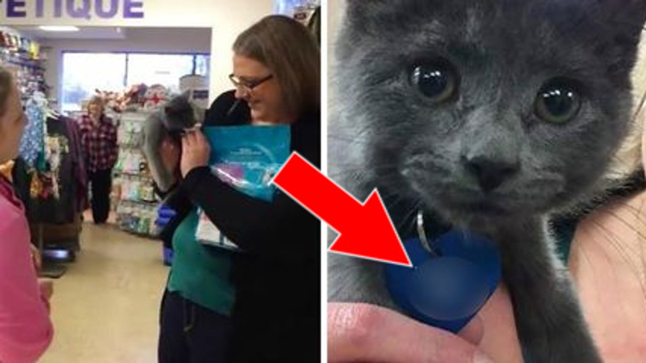 Sie kommt um das Kätzchen zu adoptieren. Als sie die Gravur auf dem Halsband sieht, bricht sie in Tränen aus!