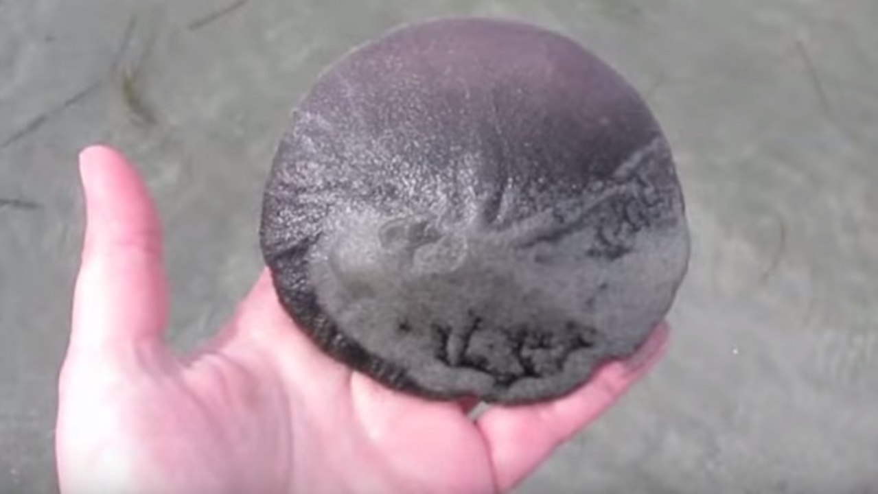 Sie findet einen seltsamen flachen Seeigel... Sieh genau hin, was passiert, wenn sie ihn umdreht!