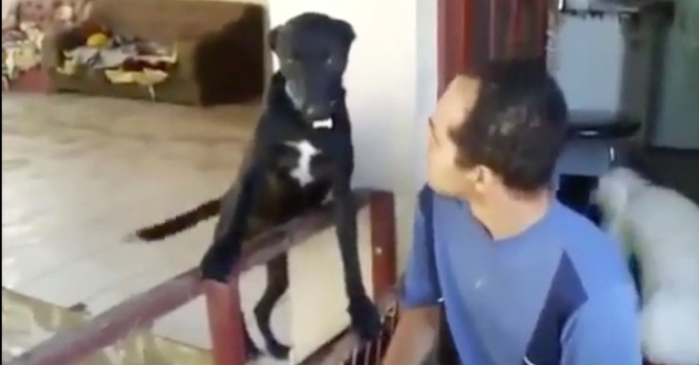 Bei der Reaktion seines Hundes auf die Standpauke kann er sich nicht mehr halten
