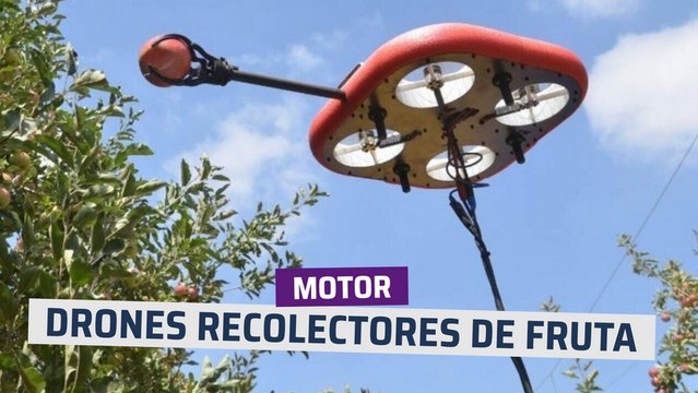 [CH] Drones autónomos recolectores de fruta