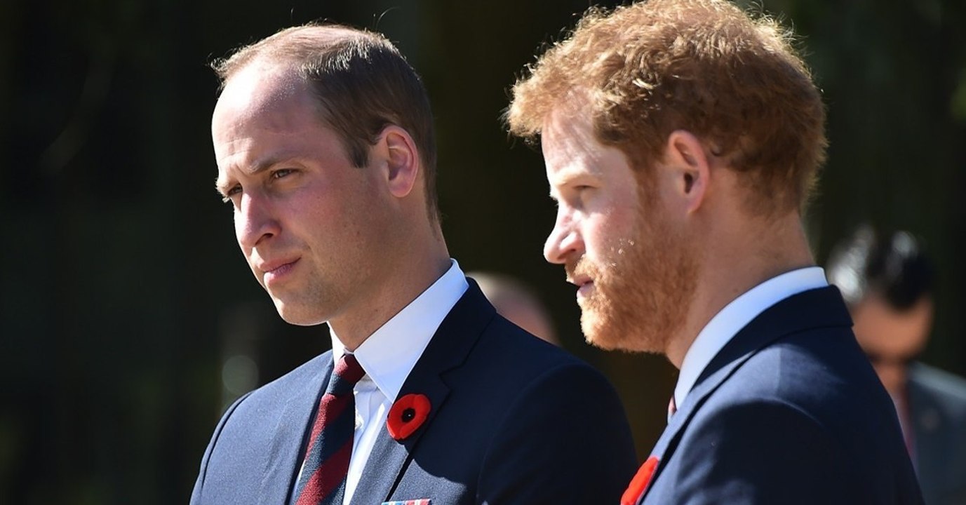 Harry und William bedauern ihre letzten Worte an Diana!