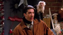 Friends: Was ist aus Marcel, dem süßen Kapuzineräffen von Ross geworden?