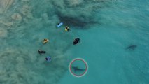 Er fotografiert von oben sorglos eine schwimmende Gruppe im Meer, als sich plötzlich Haie nähern!