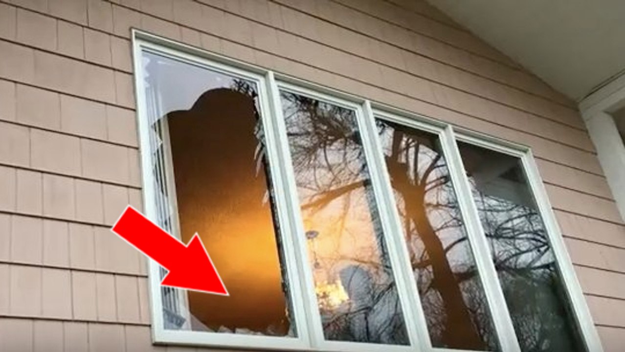 Bei ihrer Rückkehr aus dem Urlaub entdecken sie einen wilden Truthahn in ihrem Wohnzimmer!