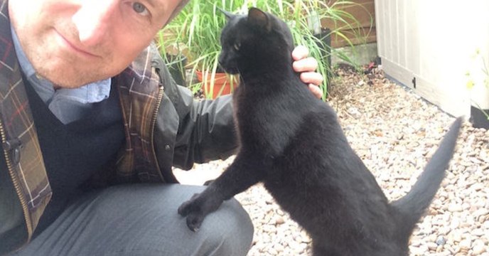 Kätzchen erst verstoßen, doch dann zeigt sich, dass es eine einzigartige Samtpfote ist!