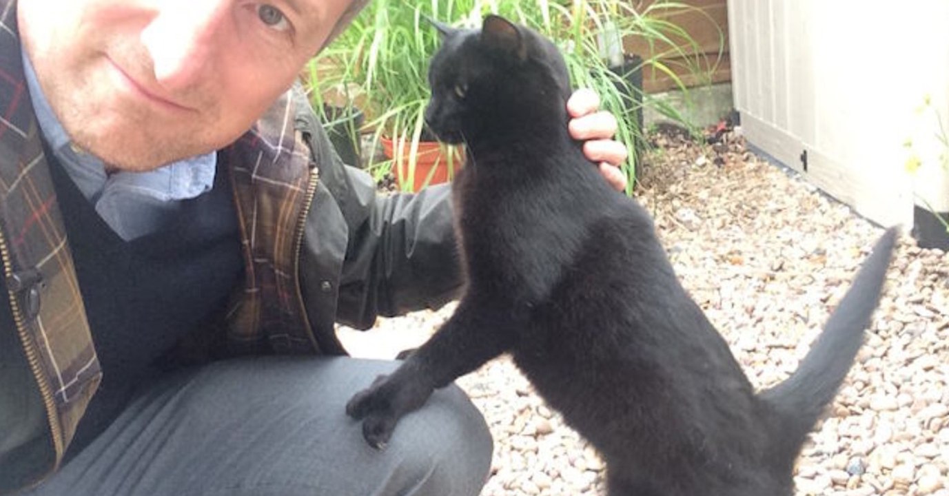 Kätzchen erst verstoßen, doch dann zeigt sich, dass es eine einzigartige Samtpfote ist!