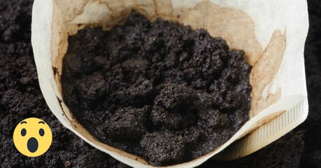 Kaffeesatz: Du kannst ihn auch sinnvoll im Haushalt verwenden!