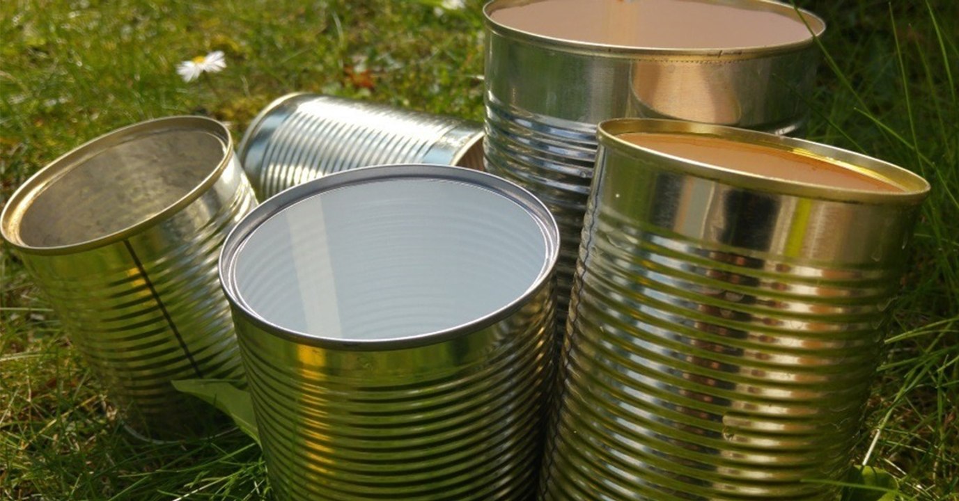 Ein Paradies für Insekten: Das Insektenhotel