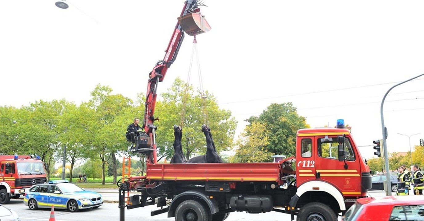 Drama um Wiesn-Pferd: Es zieht eine Kutsche vom Festzelt zum Stall und fällt plötzlich tot um