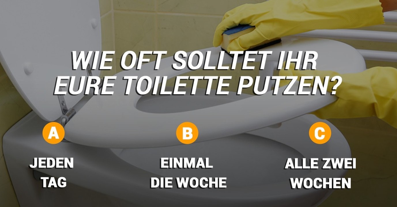 Wie oft, denkt ihr, solltet ihr eure Toilette putzen? Die Antwort seht ihr im Video!